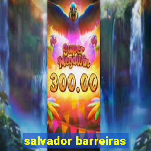 salvador barreiras